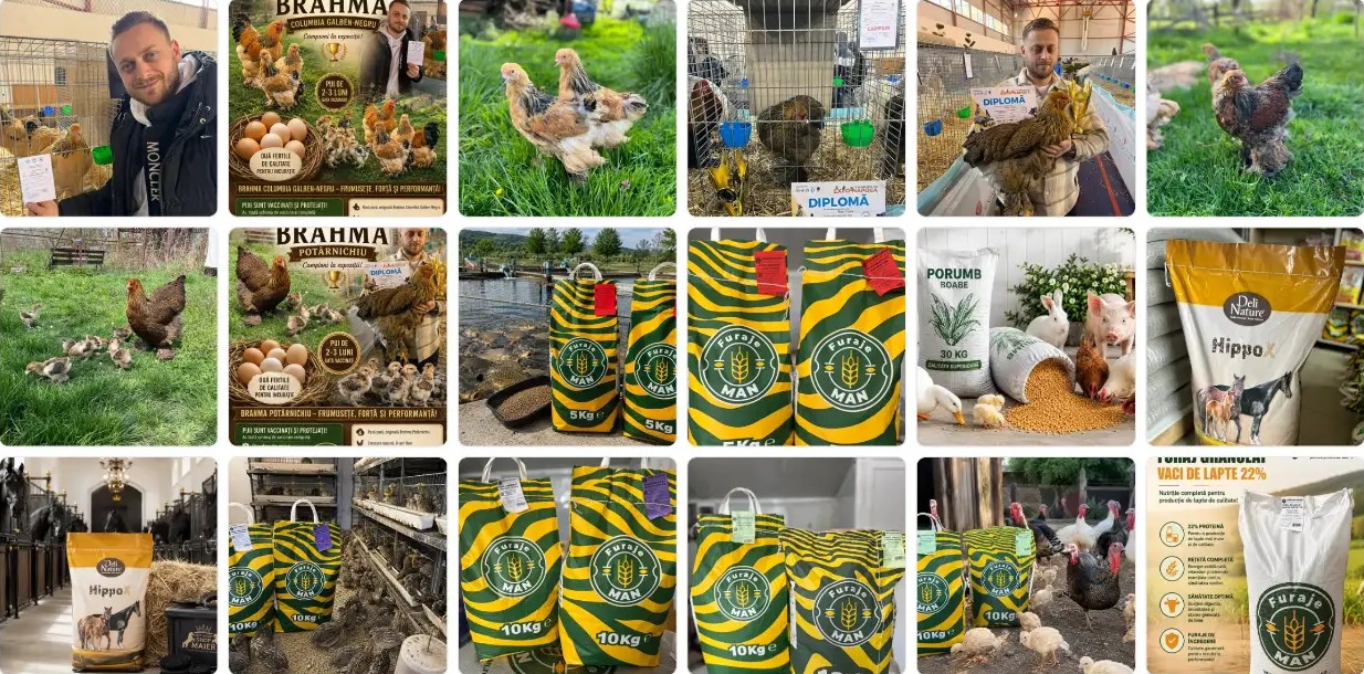 Furaje MAN, Deli Nature HippoX, porumb boabe și păsări Brahma de la PET SHOP MAIER din Gilău