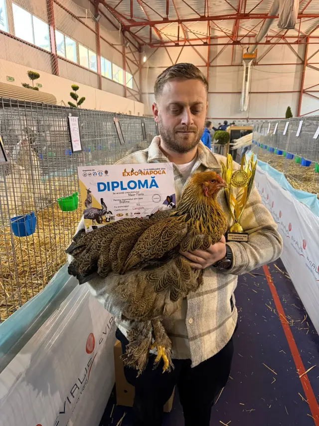 Cocoș Brahma premiat, ținut în brațe, cu diplomă și trofeu