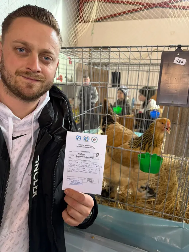 Păsări Brahma premiate la expoziție, crescătoria PET SHOP MAIER